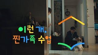 이런 개 찐가족 수업 | 세상에서 가장 큰 학교