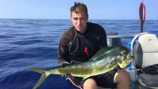 Tyler Johnson diving with the Blue Water Hunter Hawaii! Check out www.bluewaterhunter.com