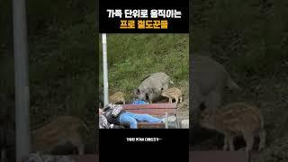 가족 단위로 움직이는 프로 절도꾼들