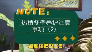 热植冬季养护注意事项详解（2）——谨防植物生理干旱