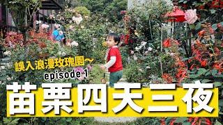 【苗栗四天三夜玩不完 ep1】飯後不要看！頻道史上最閃的一集｜滿山滿谷的浪漫玫瑰園 ft.雅聞七里香玫瑰森林【E家愛吃愛旅遊】