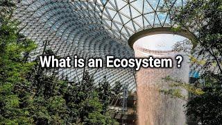 What is Ecosystem | Ecosystem in 6 mins | Overview of Business Ecosystem | Simplyinfo