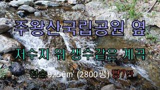 NO.78  주왕산국립공원옆 저수지 인근 계곡물 철철 흐르는 청정지역 전기 도로 갖춘 관리지역 토지 9256㎡(2800평) 당7만