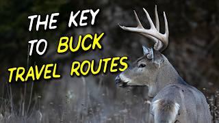 Uncovering the Hidden Trails BUCKS Use to Get Around!