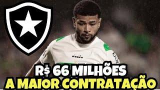 CHORA PALMEIRAS! ESCOLHEU O FOGÃO! TEXTOR FECHA NEGÓCIO! NOTÍCIAS DO BOTAFOGO