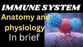 Anatomy and physiology of the immune system for nursing officers