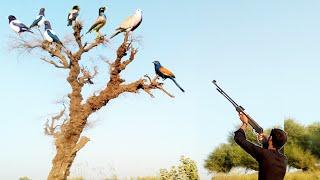 Airgun Hunting Birds hunting with airgun airgun hunting like a pro with these Expert tips very munda