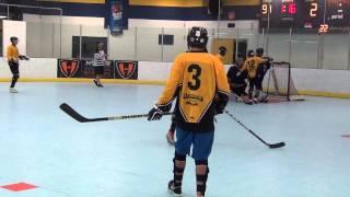 What A Save! (Ball Hockey Save - Tony Ferreira) Ball Hockey Saves Top Goalie Goaltending Skills