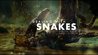 Ps Greg Mitchell - Dealing With Snakes