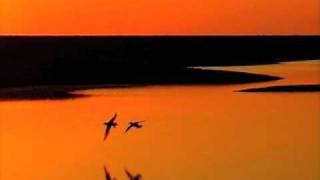 Dave Grusin - On Golden Pond