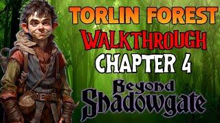 Torlin Forest Walkthrough (Chapter 4) | Beyond Shadowgate