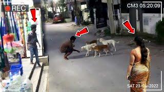 WHAT DOES HE DO FOR STREET DOGS?  | Pet Lover | Humanity | Kindness | Social Awareness | Eye Focus