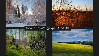 How I photograph one year - my nature photography calendar with examples