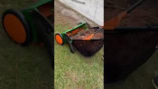 Yard Clean up the EASIER way! | Cleaning leaves, pinecones, pine needles | Scott's Push lawn sweeper