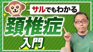 頚椎症の根本は肩甲骨ではありません! 【肩甲骨はがし!?】