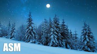 Winter - AShamaluevMusic (Beautiful and Inspirational Winter Music)