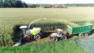 Maishäckseln mit LU Krumm mit Claas Jaguar 970, JCB, Fendt, Kröger, Fliegl, Claas, Teil 6 2022 [4K]