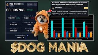 $DOG & Runes Mania has Begun  Are you Ready? 🟧