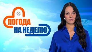 Существенных осадков не ожидается! | Погода в Беларуси с 20 по 26 октября | Плюс-минус