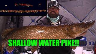 Ice Fishing and Slamming Pike in VERY Shallow Water!