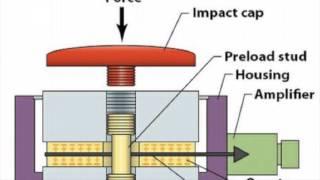 CCST9032 - Tutorial Group 1