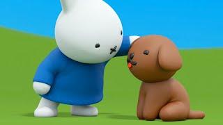 My favourite dog | Miffy song