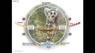 biology chapter1 introduction