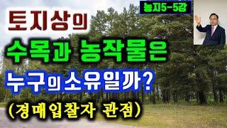 토지상의 수목과 농작물은 누구의 소유일까?  지상의 나무와 농작물의 소유권자 5가지유형 완전정리 /입목등기,명인방법,미등기수목,법정지상권,경매에서 수목처리⎨공인중개사 한남수 TV⎬