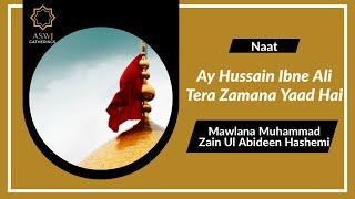 Ay Hussain Ibne Ali Tera Zamana Yaad Hai | Mawlana Muhammad Zain Ul Abideen [English Translation]