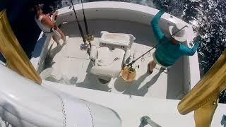 Got to check that worm! #baittender #tuna #fishing #fish #bait #rigging