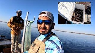 Cast Net Fishing For Hassa With Being Rocky & The Gopi Family