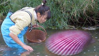  Mysterious waters, girl discovers giant mutated river clams, joy of harvesting pearls