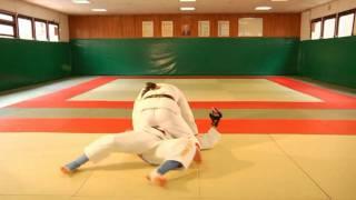 Ju Jitsu Fighting System