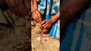 Sardi ka desi ilaj Desi FFG murgi, thand se bachao #winter #chicks #desi #free range farming