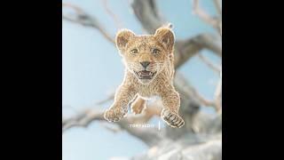 'please don't kill him' Edit Mufasa: The Lion King - Lady Gaga Bruno Mars Die With A Smile #mufasa