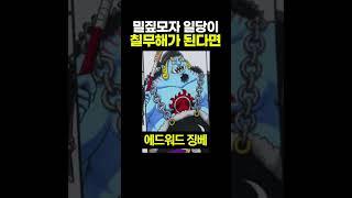 밀짚모자 일당이 칠무해가 된다면?