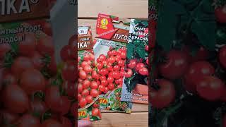 Сорта томатов для домашней фермы 