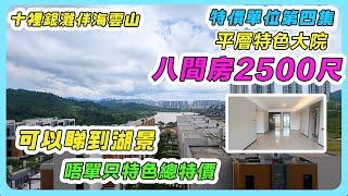 十裡銀灘伴海雲山️/特價單位第四集（平層特色大院八間房2500尺）可以睇到湖景/唔單只特色總特價