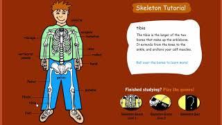 Learn the parts of the Skeleton - Tutorial (Quick gameplay)