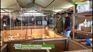 Poultry farming tips and best practices - AgriTalk