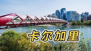 Calgary｜  Downtown, Peace Bridge,  Princes Island Park, Chinatown｜Toronto self-driving to Vancouver 