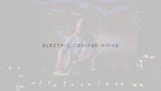 Электрический хвойный шум / 15.07.2023 / Electric conifer noise