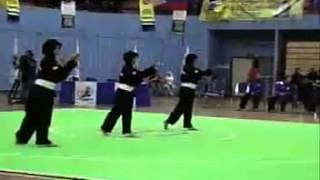 Malaysia Martial Art - Silat