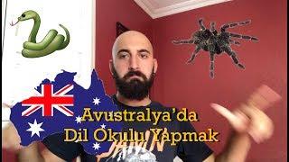 Avustralya Melbourne'de Dil Okulu Okumak 