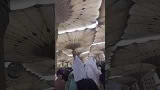 abhi tak Dil waheen par hai #madinasharif #travel #ziyaravlog #