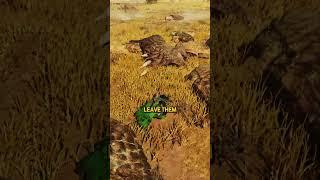 How To Get Wyvernsprout in Monster Hunter Wilds #monsterhunter #monsterhunterwilds #gaming