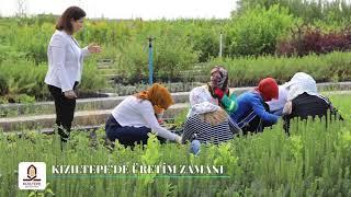 Kızıltepe Belediyesi Çalışmaları - 3