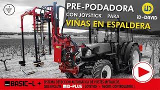 ▶️  Prepoda de VIÑA en espaldera | BASIC-L ID DAVID