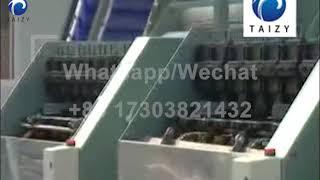 Fully automatic cashew nut processing plant/cashew nut processing unit for cashew nut shelling