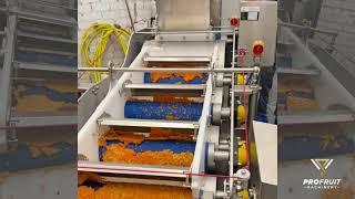 Visit Behind the Scenes | Apple & Carrot Juice Processing